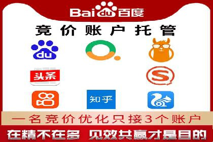 SEM推广策略：实战案例解析